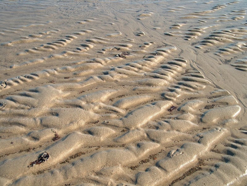 Salted Caramel Chocolate Cupcakes